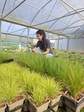 Weekly catch up with garden & propagation