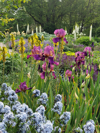 Garden connections planting at Benton End Garden connections planting at Benton End