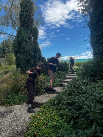 Weekly catch up with garden & propagation