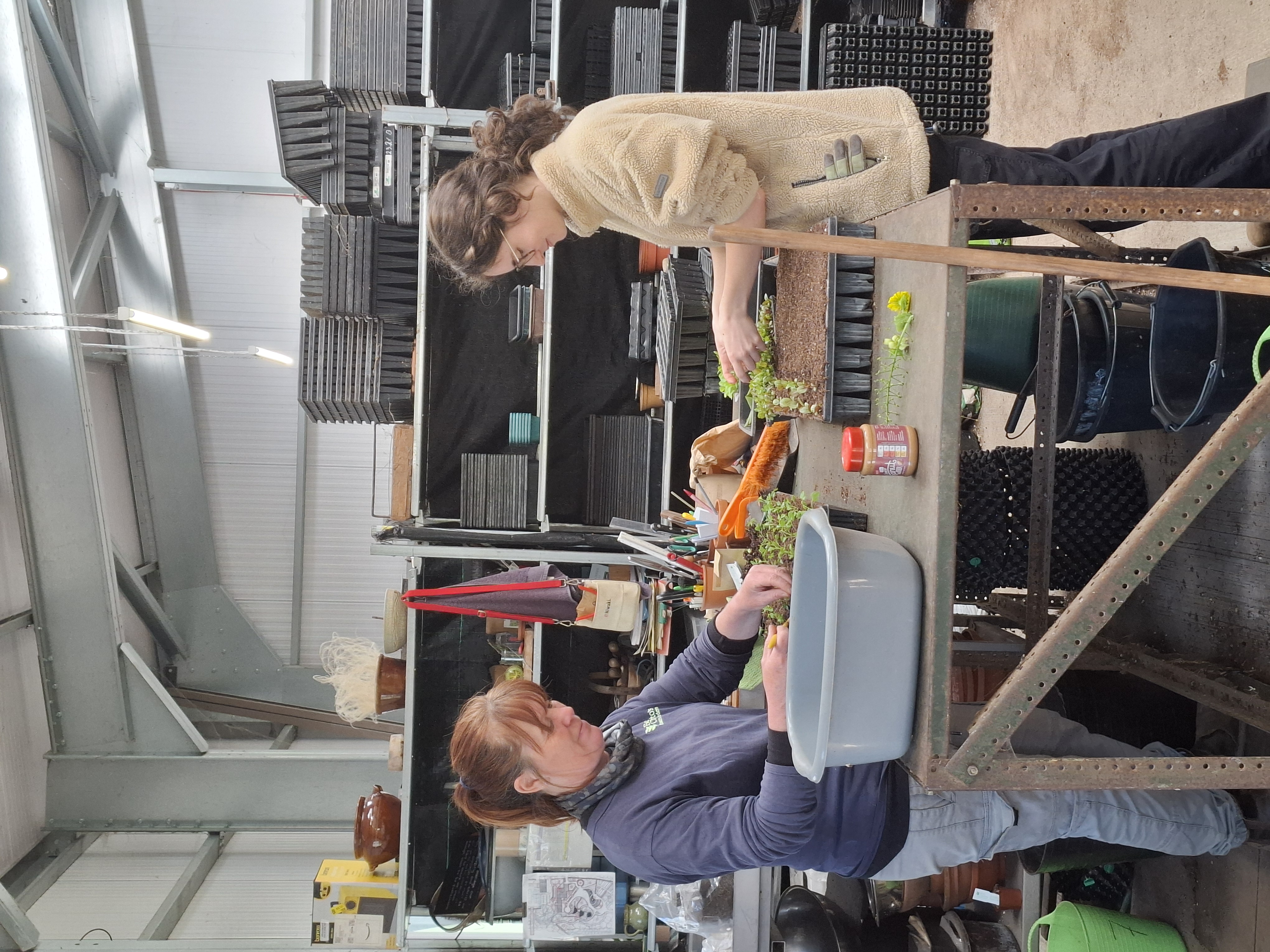 Weekly catch up with garden & propagation