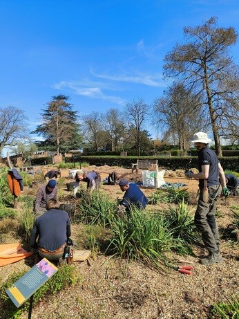 Weekly catch up with garden & propagation