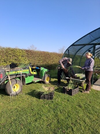 Weekly catch up with gardens & propagation