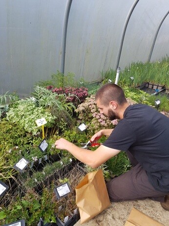 Weekly catch up with garden and propagation