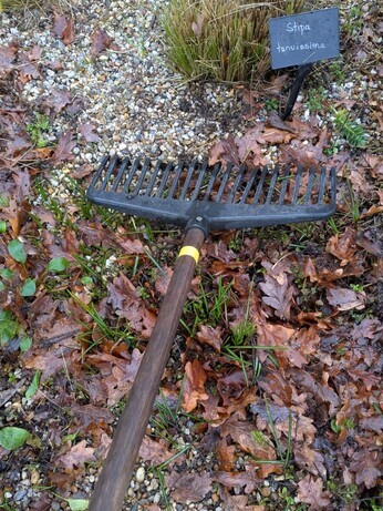 Weekly catch up with garden & propagation