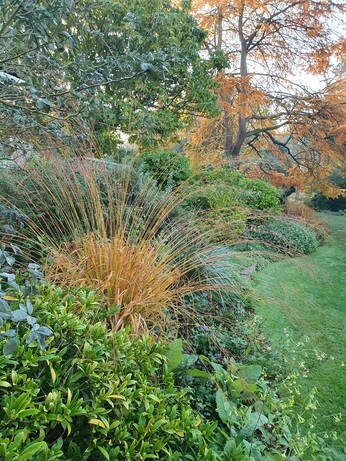 Late October Glory
