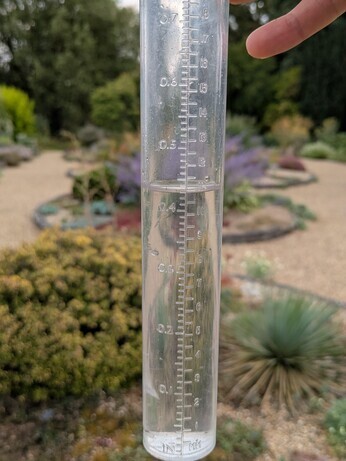 Weekly catch up with garden & propagation