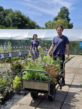 Weekly catch up with garden and propagation
