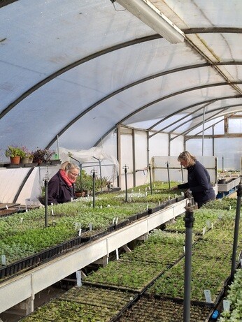 Weekly catch up with garden & propagation