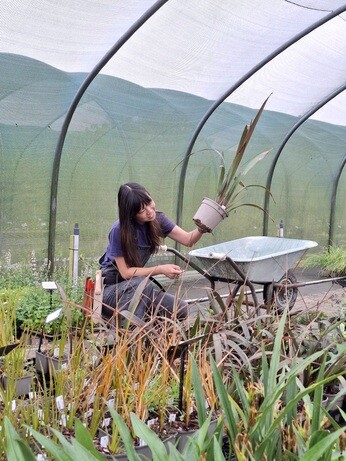 Weekly catch up with garden & propagation