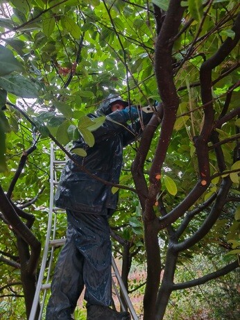 Weekly catch up with garden & propagation