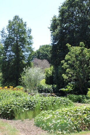 Plant Strategies in the Stock Beds Plant Strategies in the Stock Beds