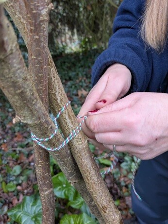 Weekly catch up with garden & propagation