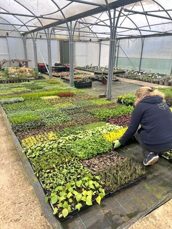 Weekly catch up with gardens & propagation