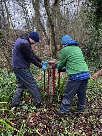 Weekly catch up with garden & propagation