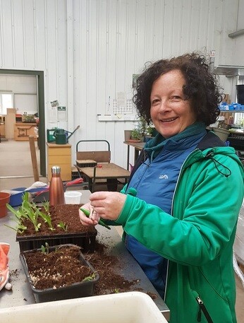 Weekly catch up with gardens & propagation