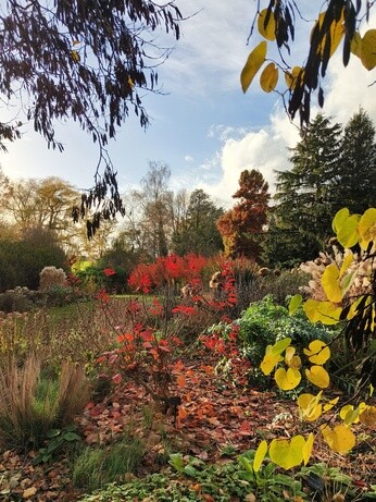 Weekly catch up with garden & propagation