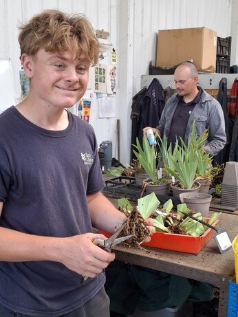 Weekly catch up with garden and propagation