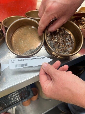 Weekly catch up with garden & propagation