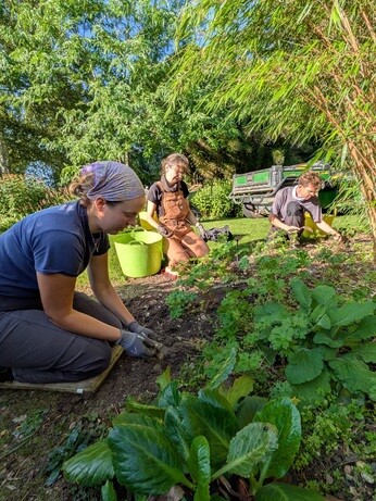 Weekly catch up with garden & propagation
