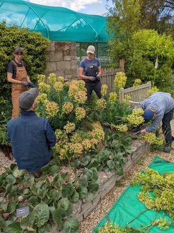 Weekly catch up with garden & propagation