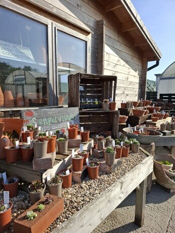 Weekly catch up with gardens & propagation Weekly catch up with gardens & propagation