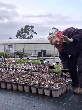 Weekly catch up with garden & propagation Weekly catch up with garden & propagation