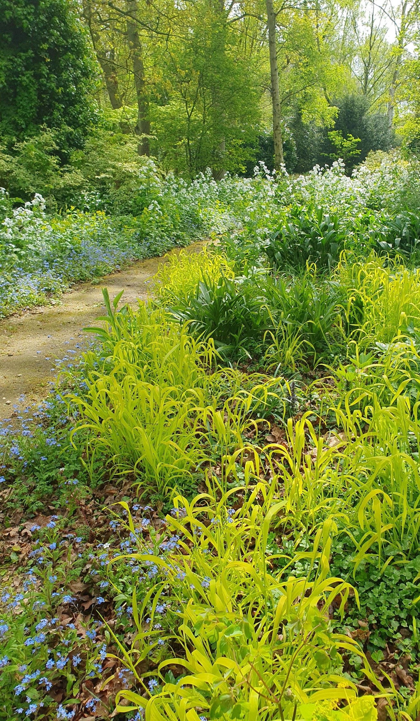 Fabulous foliage