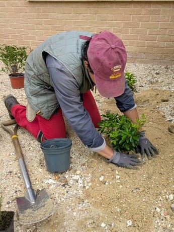 Weekly catch up with garden & propagation