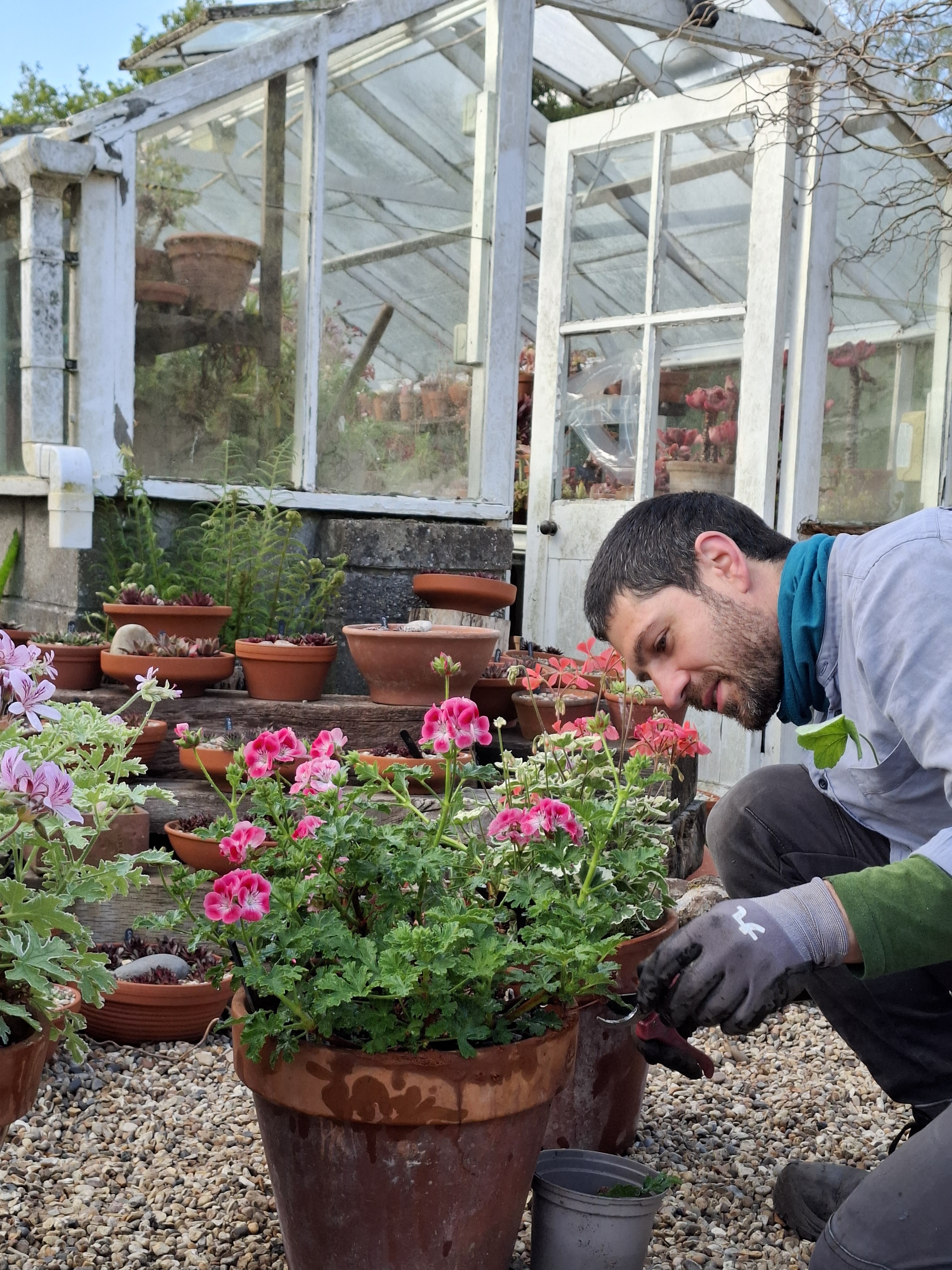 Weekly catch up with garden & propagation