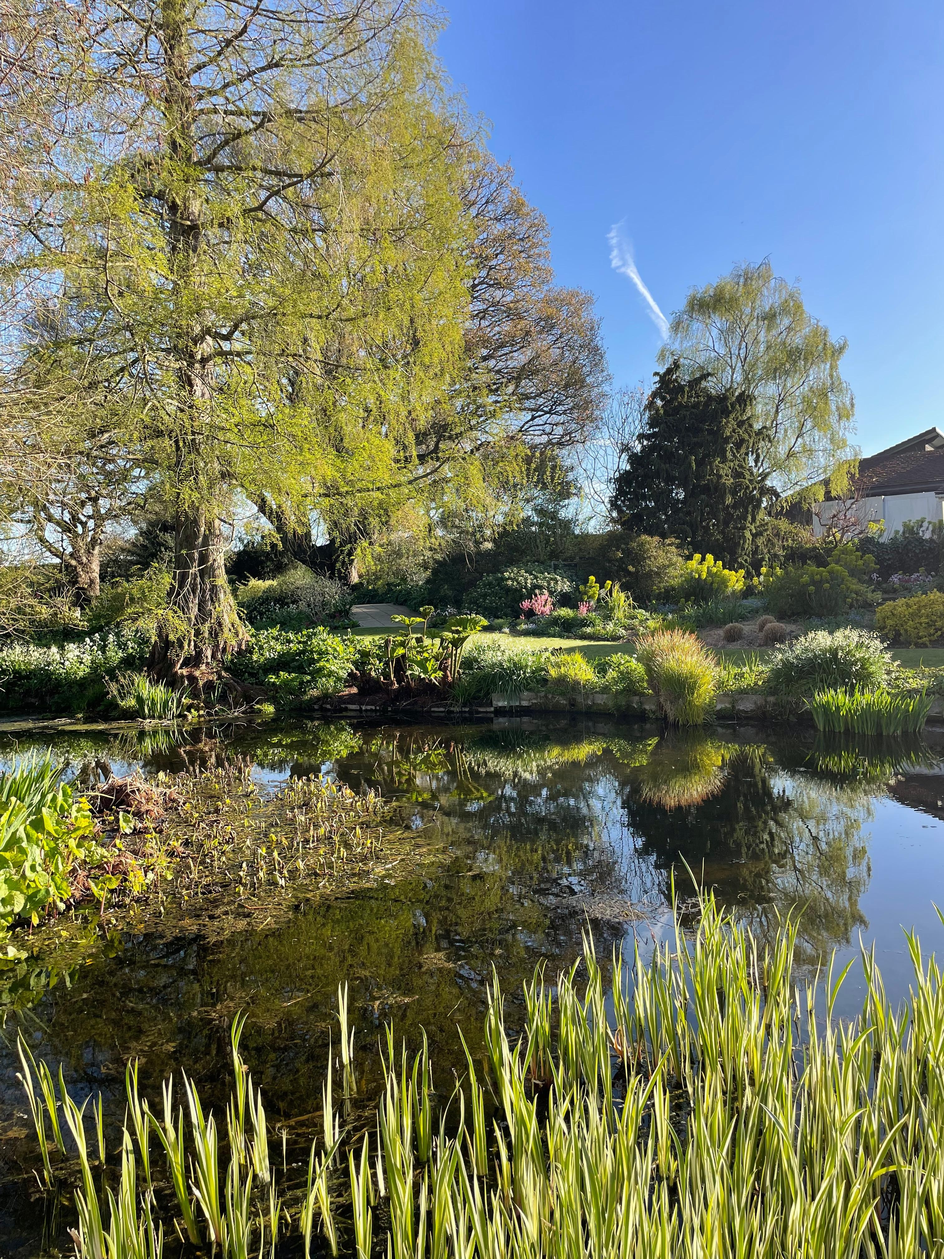 Weekly catch up with garden & propagation