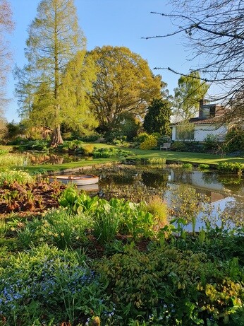 Weekly catch up with gardens & propagation