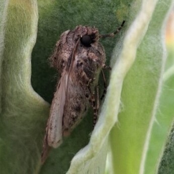 Wild Words from the Ground - November