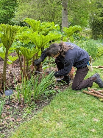 Weekly catch up with gardens & propagation
