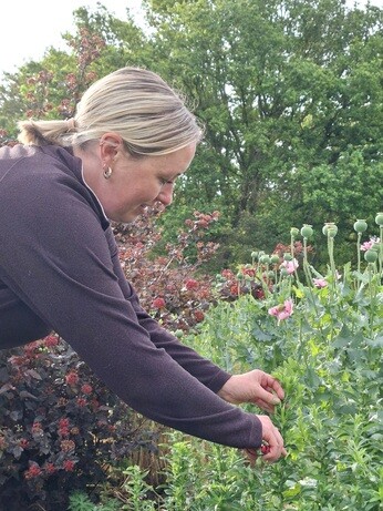Weekly catch up with garden and propagation