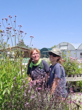 Weekly catch up with garden and propagation