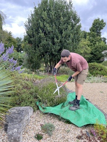 Weekly catch up with garden & propagation