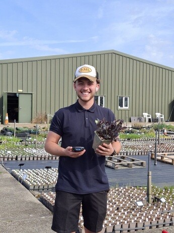 Weekly catch up with garden & propagation Weekly catch up with garden & propagation