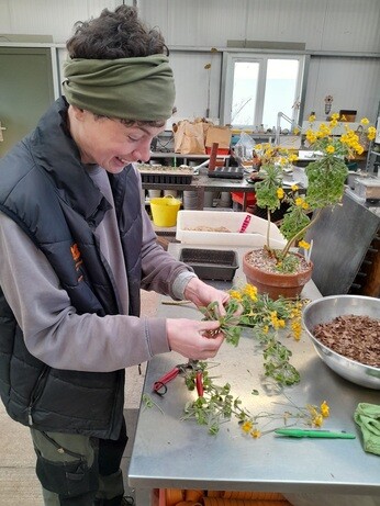 Weekly catch up with garden & propagation