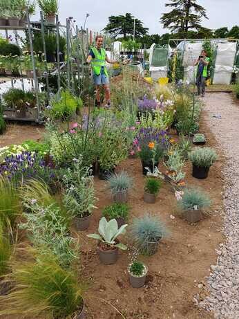 Carol Klein's Iconic Horticultural Hero garden at Hampton Court