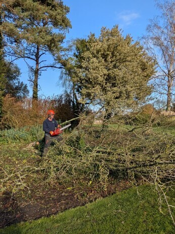 Weekly catch up with garden & propagation