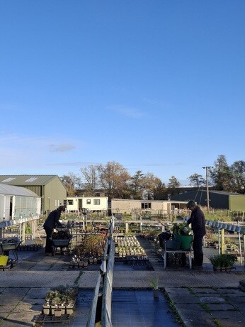 Weekly catch up with garden & propagation