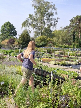 Weekly catch up with garden & propagation