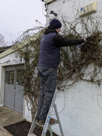 Weekly catch up with garden & propagation