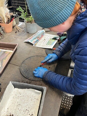 Weekly catch up with garden & propagation