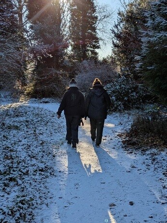 Weekly catch up with garden & propagation