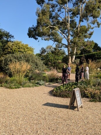 Weekly catch up with garden & propagation