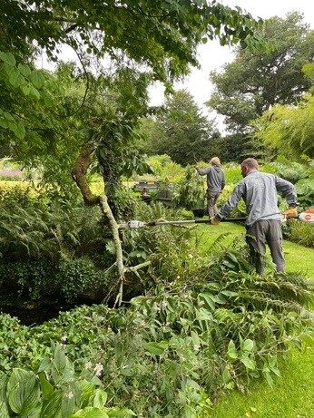 Weekly catch up with garden & propagation