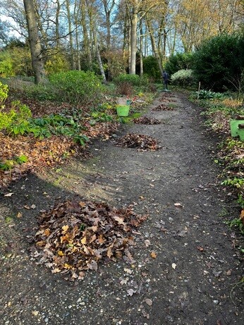 Weekly catch up with garden & propagation Weekly catch up with garden & propagation