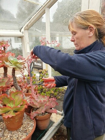 Our Propagation Expert Emily's Favourite Tools