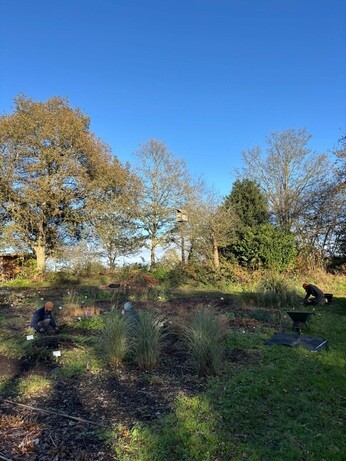 Weekly catch up with garden & propagation